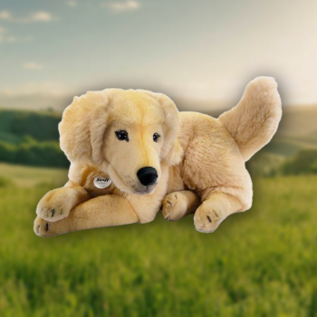 dog1_item