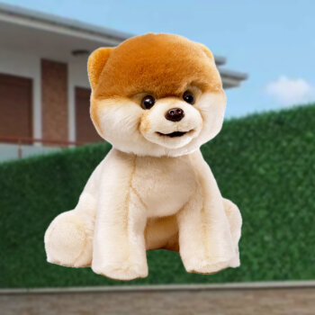 dog2_item