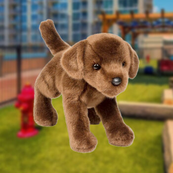 dog4_item