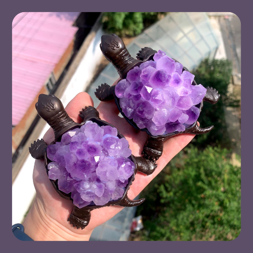 AmethystTurtles