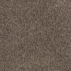 carpet.jpeg