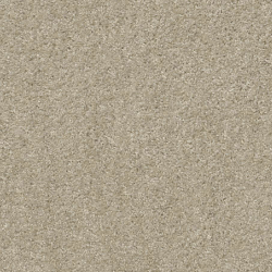 carpetpreview2