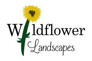 wildflowerlandscapes_1.png